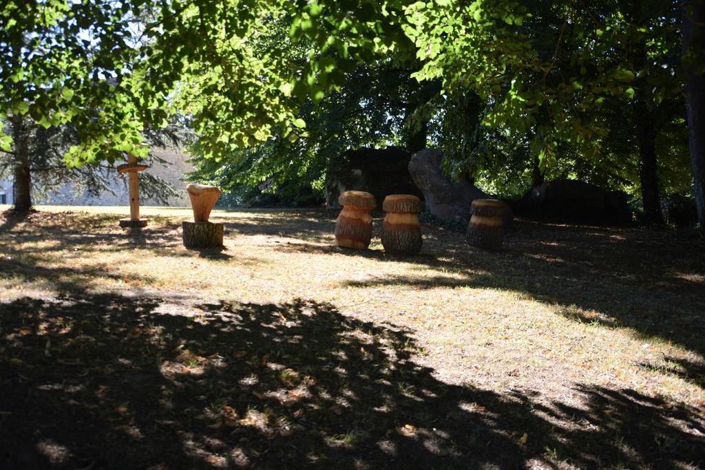 Domaine De La Rocque Bed & Breakfast Liorac-sur-Louyre Eksteriør bilde